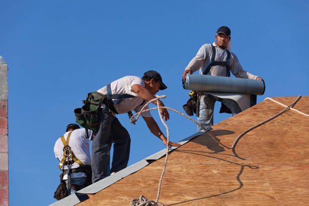 Best Roof Maintenance Services  in Sansom Park, TX