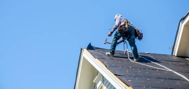 Best Roof Gutter Cleaning  in Sansom Park, TX